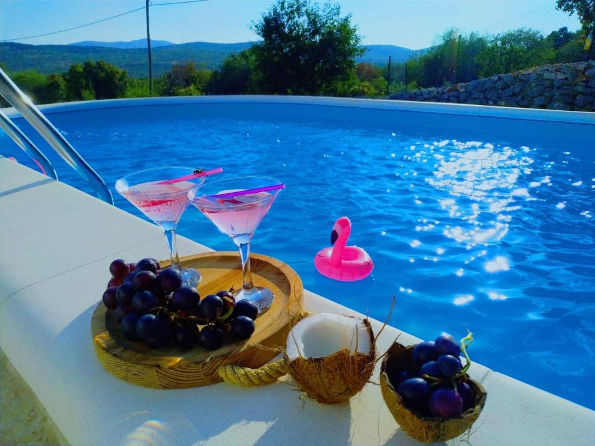 Holiday Home Sego With Private Pool Veliki Brocanac Extérieur photo
