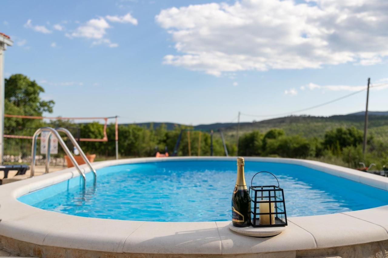 Holiday Home Sego With Private Pool Veliki Brocanac Extérieur photo