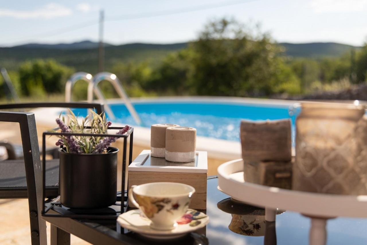Holiday Home Sego With Private Pool Veliki Brocanac Extérieur photo
